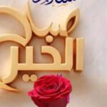 Profile photo of Ammar